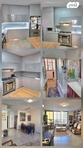 מיכל לייב כץ 52