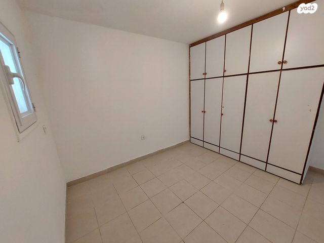 המלך שלמה 29