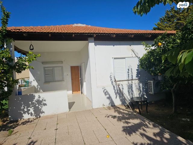 הרב מנחם זמבה 