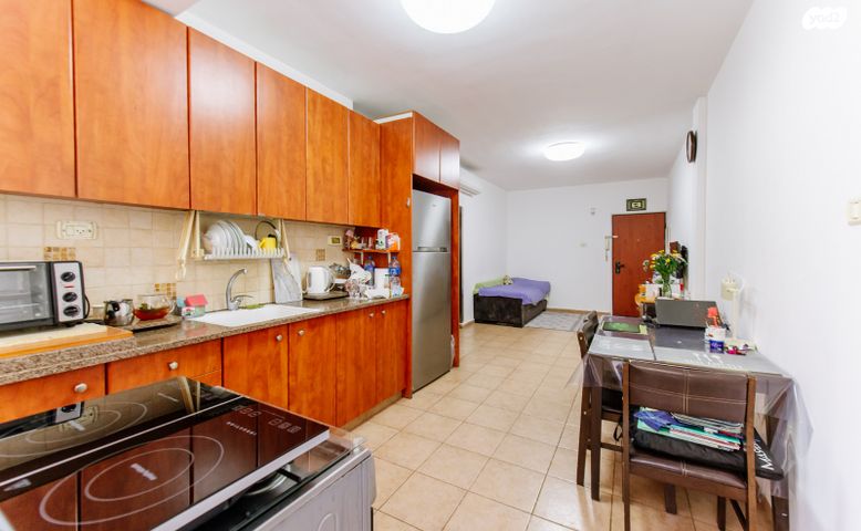 יחיאל מיכל פינס 