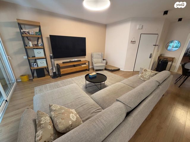 דשה אהרונסון 