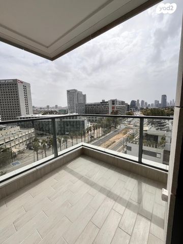 ראול ולנברג 