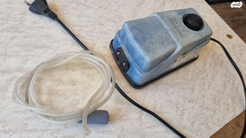 תמונת מודעה - חיות מחמד