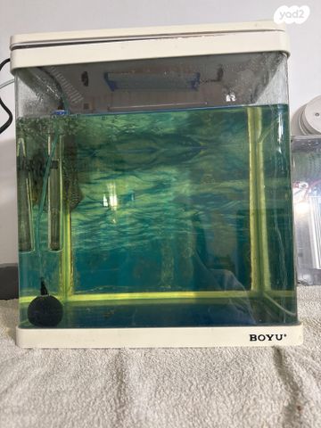 תמונת מודעה - חיות מחמד