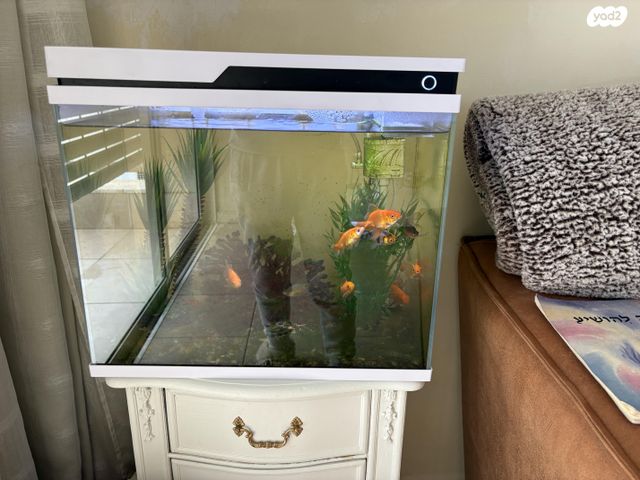 תמונת מודעה - חיות מחמד