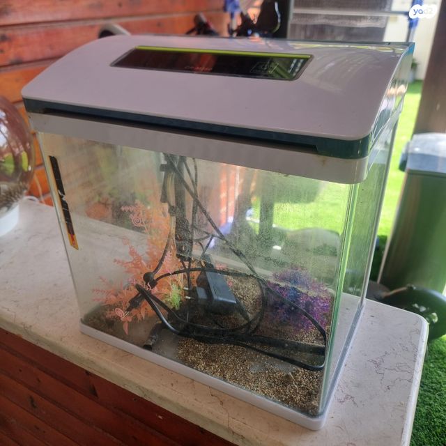 תמונת מודעה - חיות מחמד