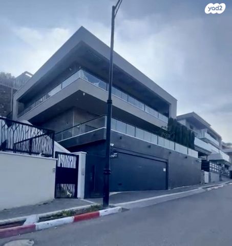 האקליפטוס 116