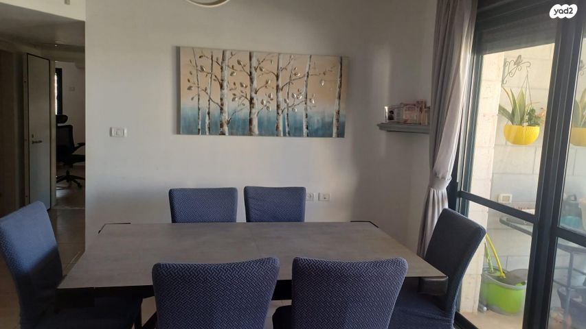 הרב אברהם שפירא 3