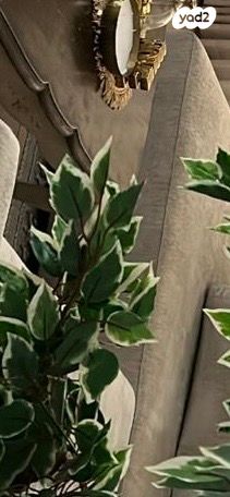 הגדוד העברי 4