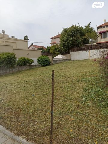 שלמה פומבורובסקי 15