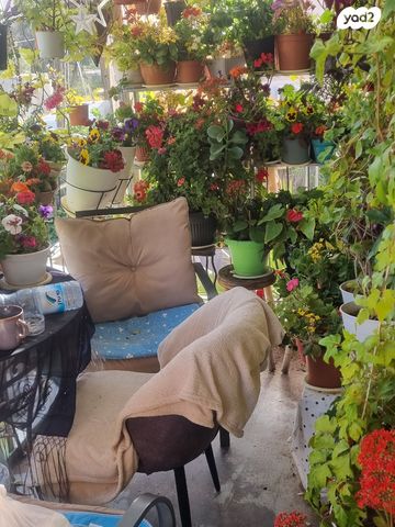 הכותל המערבי 54