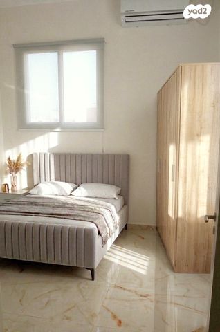 ציפורה זייד 12