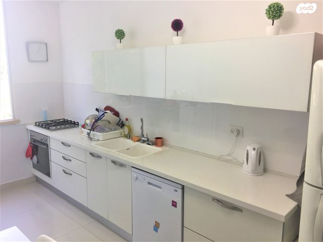 זאב ברנדה 41