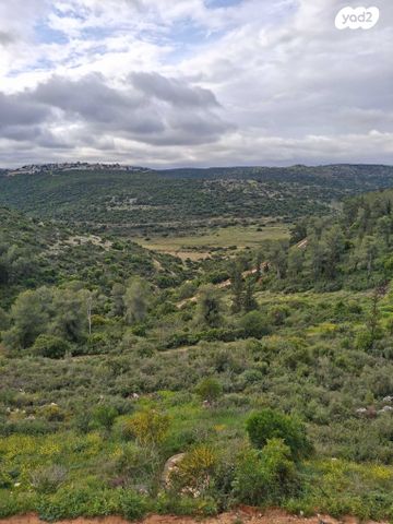 שדרות רחבעם 1