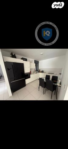 הרב דב הכהן קוק 3