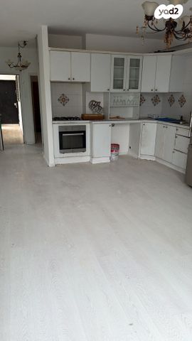 דוד שמעוני 6