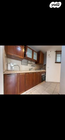 שלמה ומשה תג'ר 3