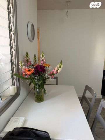 דרך עכו חיפה 162