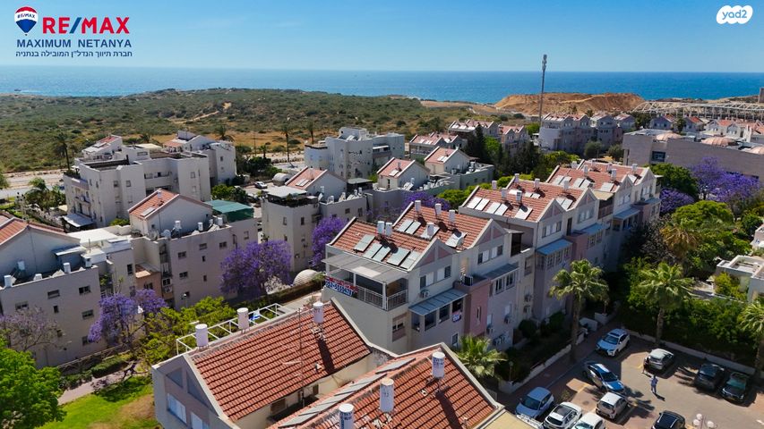 מודעת נכס, אירוס הארגמן, גבעת האירוסים, נתניה