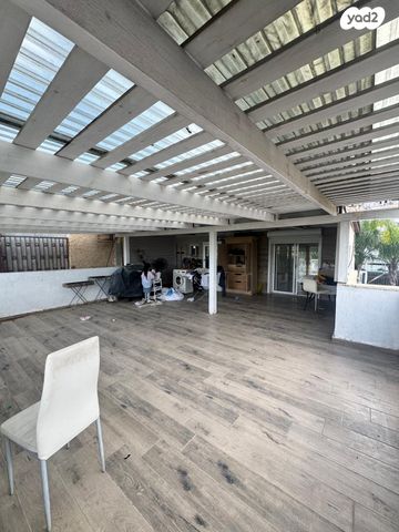 אביגדור עשת 61