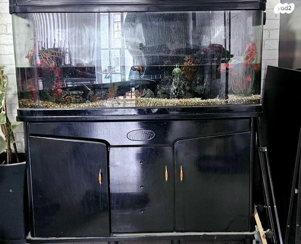 תמונת מודעה - חיות מחמד