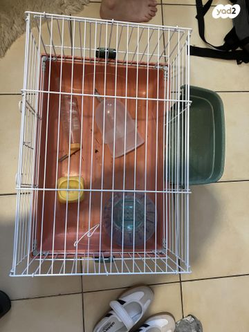 תמונת מודעה - חיות מחמד