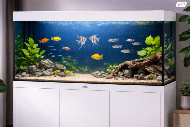 תמונת מודעה - חיות מחמד