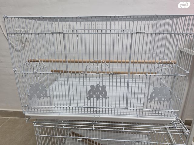 תמונת מודעה - חיות מחמד