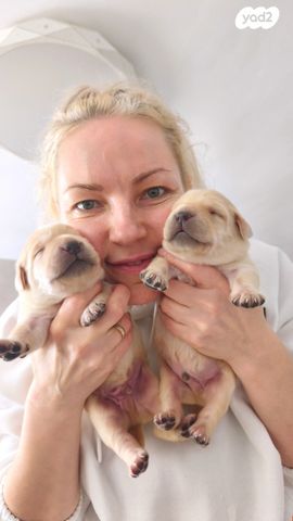 תמונת מודעה - חיות מחמד