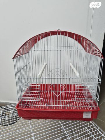 תמונת מודעה - חיות מחמד