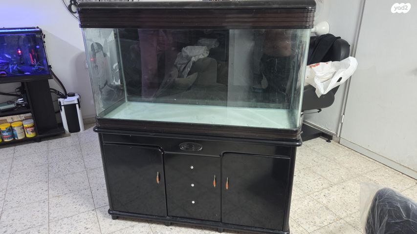 תמונת מודעה - חיות מחמד