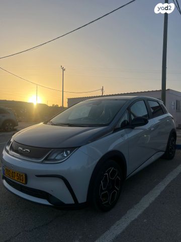 מודעת רכב בי.ווי.די דולפין