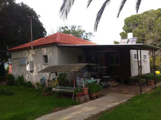 שדרת הפיקוסים 22