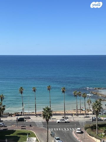 ז'בוטינסקי 2