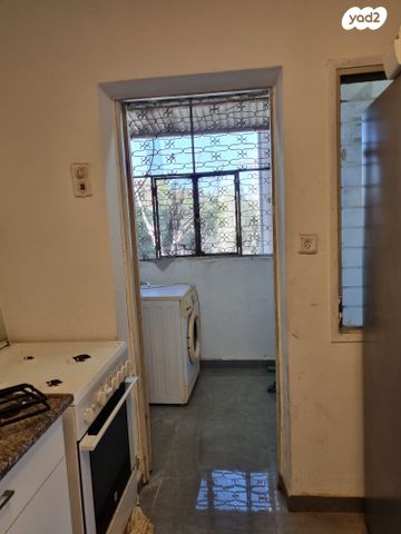 דוד רזיאל 24