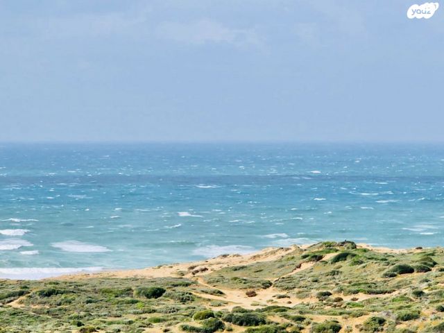 נתן יונתן 24