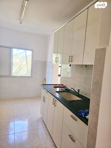 לוי אשכול 17