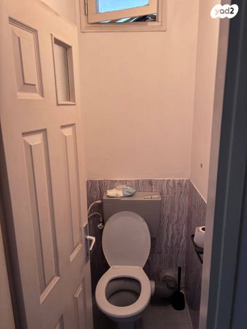 אריה בן אליעזר 60