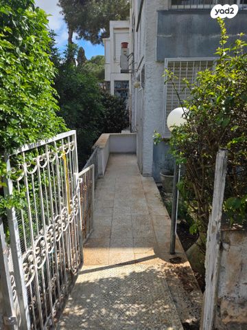 שושנת הכרמל 32