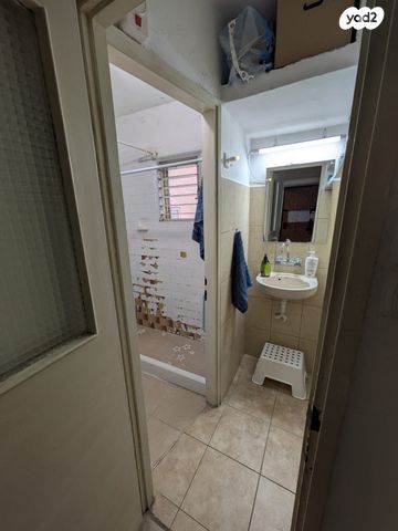 שבטי ישראל 46