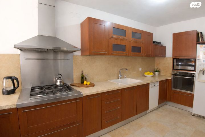 אריה בן אליעזר 