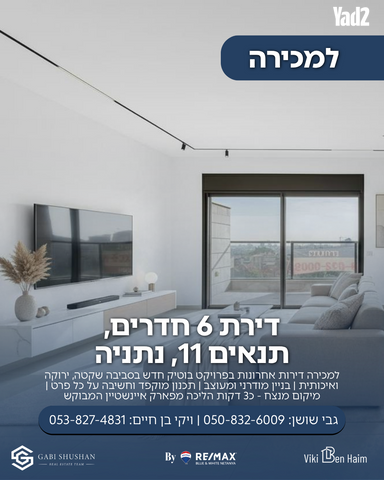 התנאים 