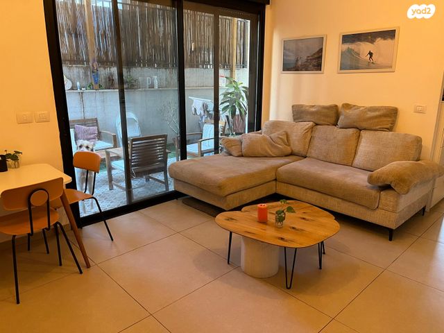 פנחס רוטנברג 