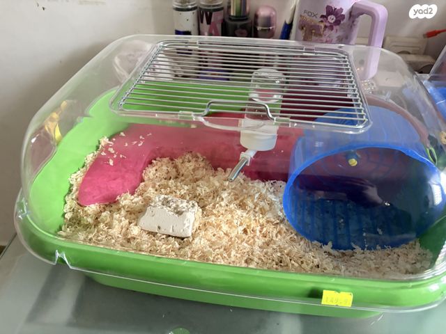 תמונת מודעה - חיות מחמד