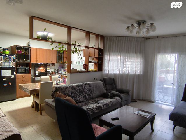 דוד אלעזר 15