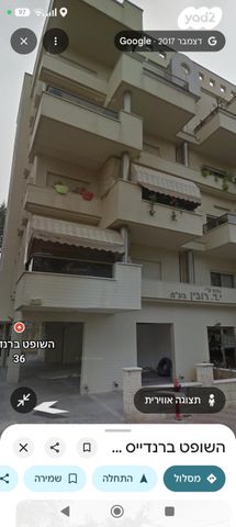 השופט ברנדייס 36