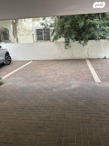 החשמונאים 41