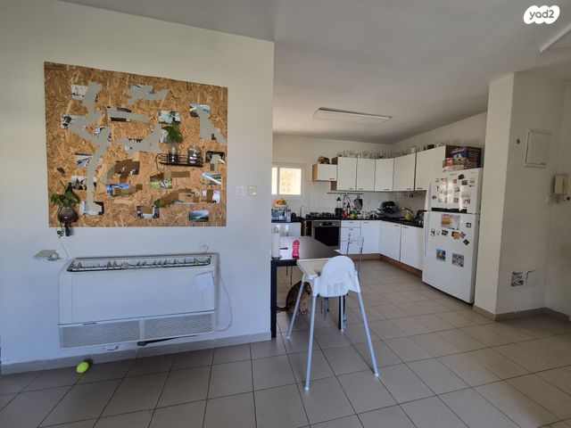 שושן צחור 18