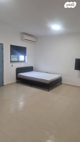 פייט מונדריאן 12