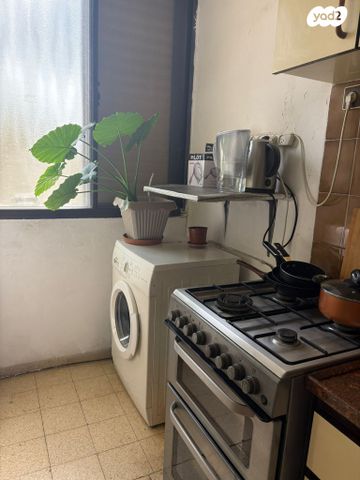 אפרים שריר 6